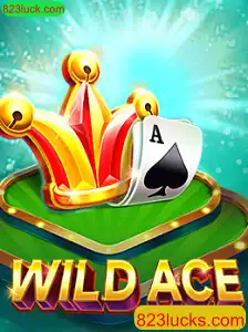 Explorando o Universo de WildAce: Uma Nova Era no Mundo dos Jogos